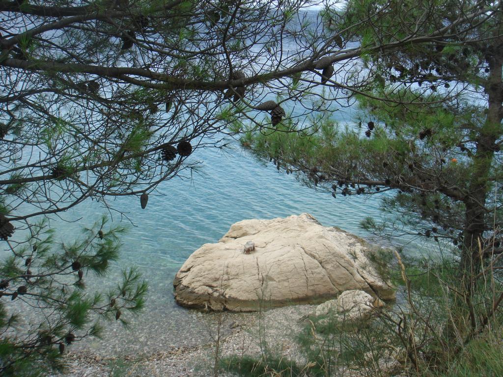 47.Zapojit fantazii