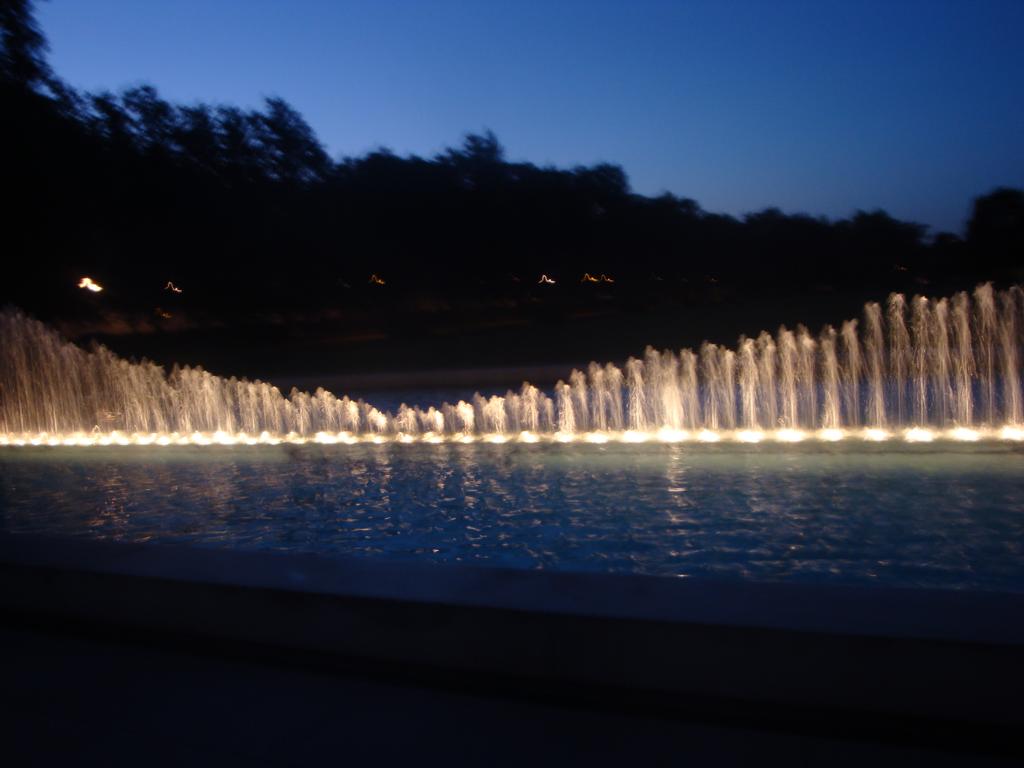 DSC07795