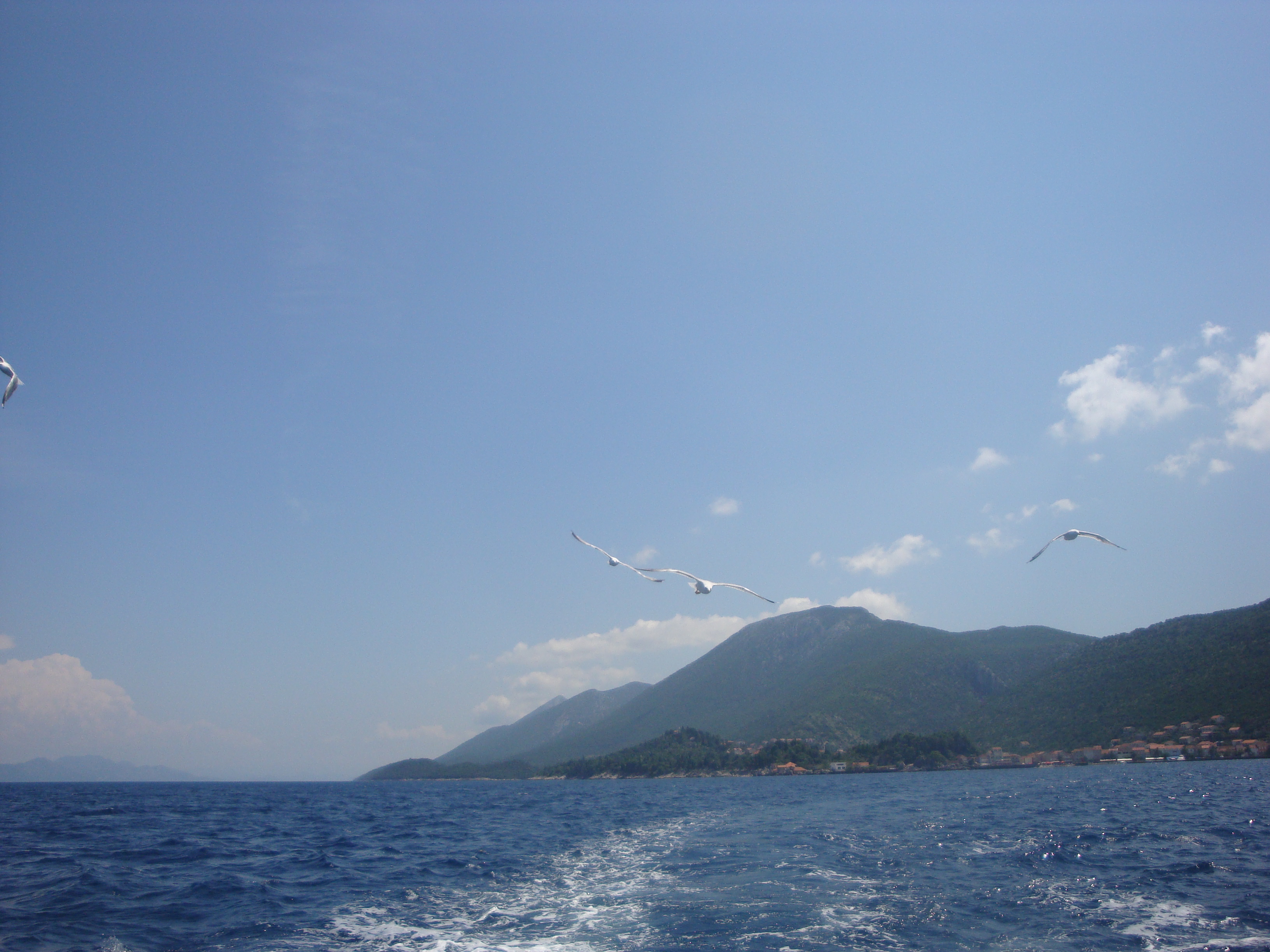 DSC09035