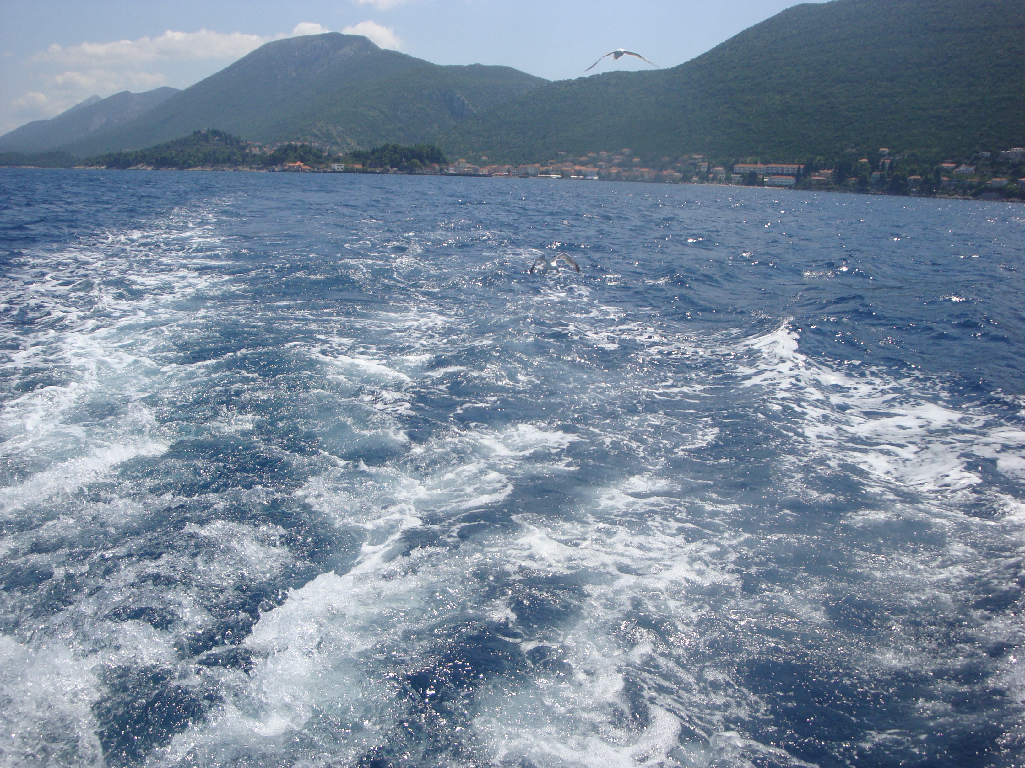 DSC09036