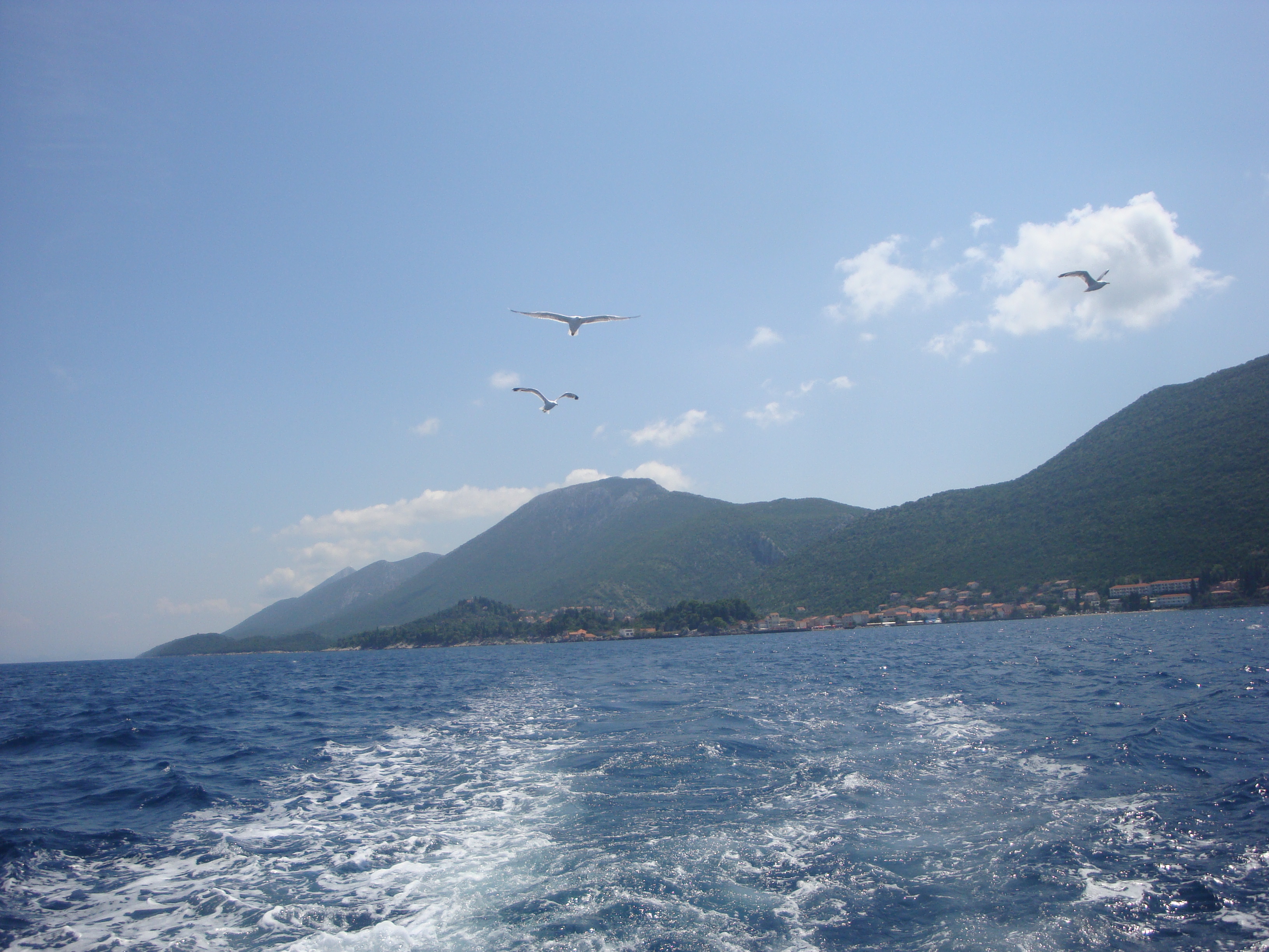 DSC09037
