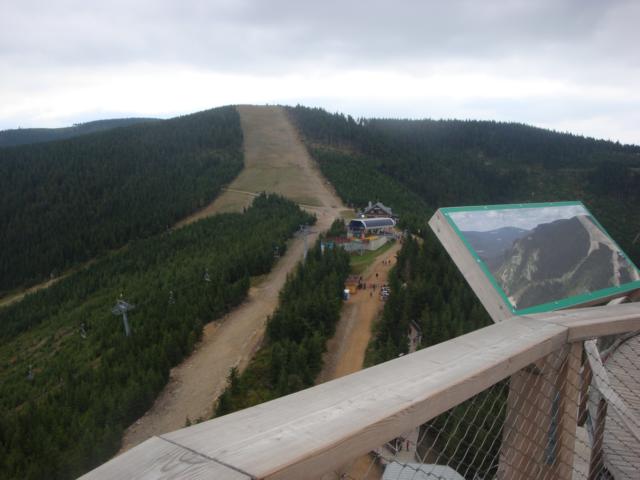 DSC00344