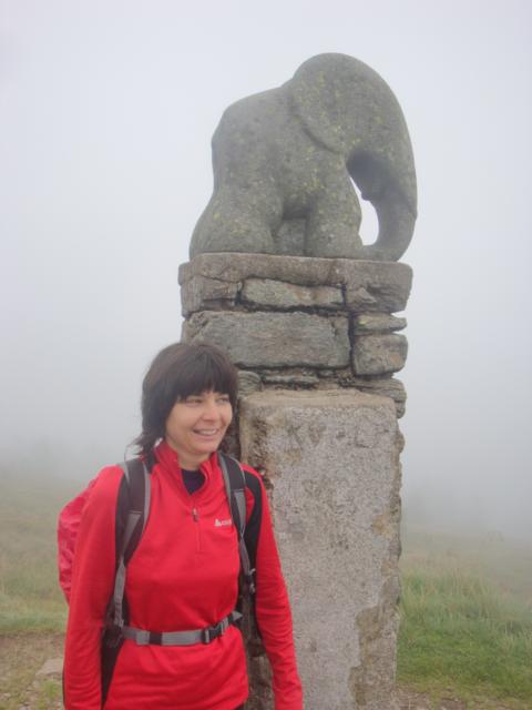 DSC00441