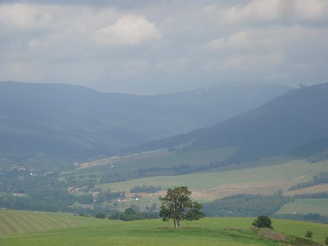 DSC00489